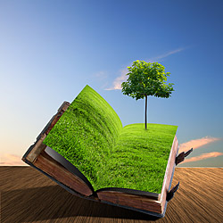 Education