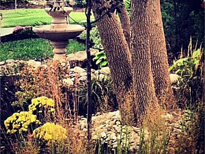 Garden Center Overland Park, KS